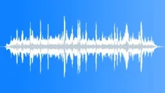 Sooty Tern Calls InSound Effect