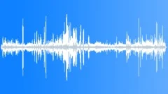 Sooty Tern MCU Calls Sound Effect