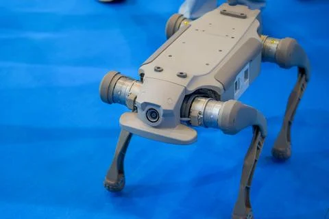 Sophisticated high-tech artificial intelligence robot dog close-up Stock Photos