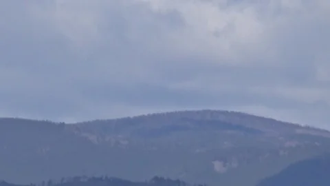 Sopka, dense forest, cloudy day Stock Footage 75334857
