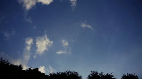 Sora 動画素材 11314511