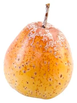 Sorb cutout Stock Photos