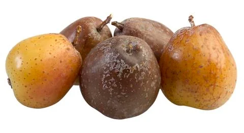 Sorb Cutout Stock Photos