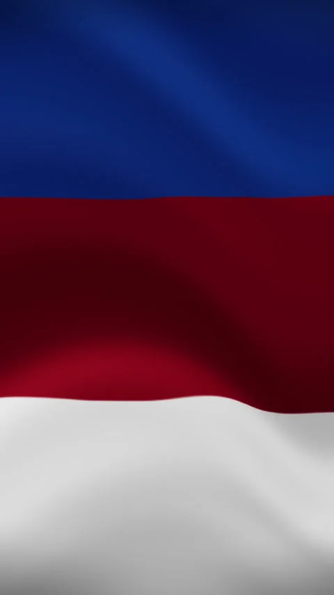 Sorbs Waving Flag in Vertical Orientation – Realistic Loop Animation Video stock 294948615