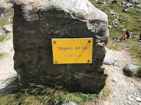 Sorgente del lys Stock Photos