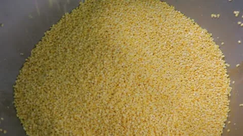 Сorn Video stock 10917217