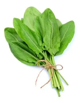 Sorrel isolated Foto stock