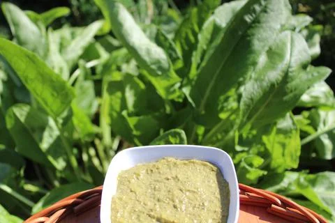Sorrel pesto Stock Photos