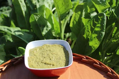 Sorrel pesto Stock Photos