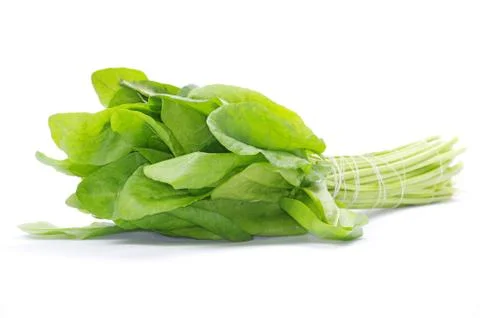Sorrel Stock-Fotos