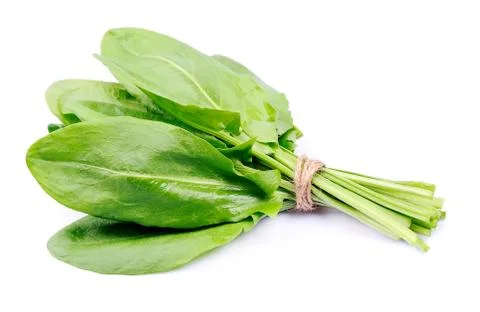 Sorrel Stock Photos
