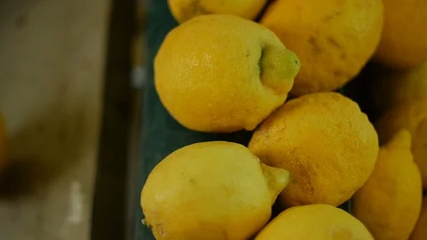 Sorrento lemons falling into the machine Stock Footage 119604925