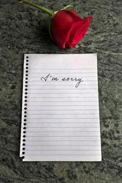 A Sorry Note with a Single Red Rose Beside it Stock Photos