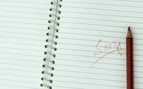 Sorry written on open notebook. Closeup. Mistake learning, blooper, regret sa 스톡 사진