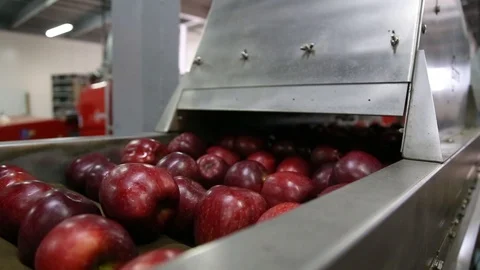 Sort line for calibration of apples. The work of the sorting line. Red Apples Vidéo 109201314