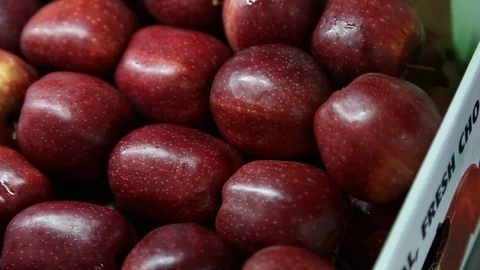 Sort line for calibration of apples. The work of the sorting line. Red Apples Vidéo 109206229