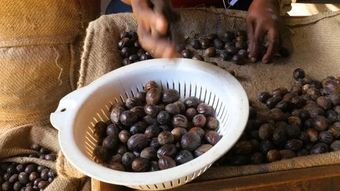 Sort of nutmeg, handwork Video stock 71995659