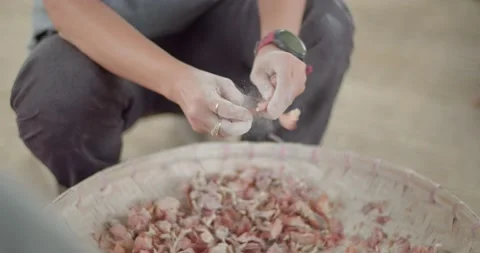 Sort the onion varieties using a knife or hand to separate the several adjacent  Stock Footage 223383424