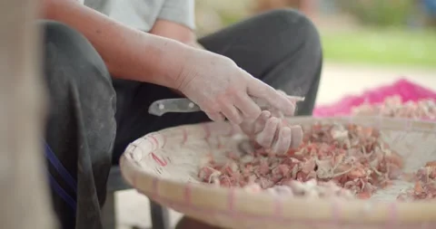 Sort the onion varieties using a knife or hand to separate the several adjacent  Stock Footage 223383428