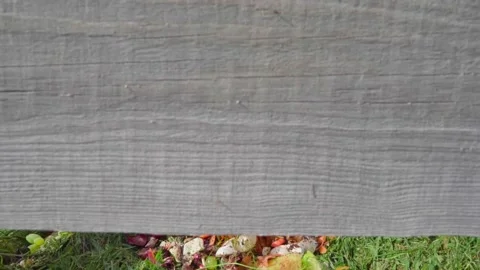 Sorted organic garbage on a compost heap outdoors close-up Stock Footage 233709034