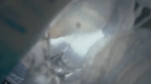 Sorted Plastic Falling Down into Rubbish Bin Video stock 236982734