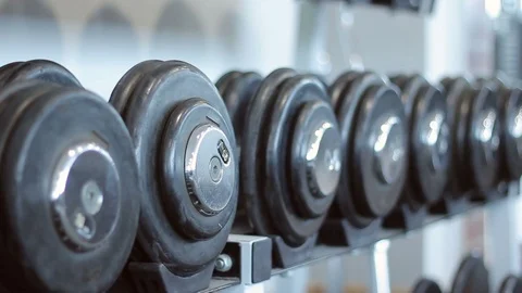 Sorted weights in the gym 動画素材 91731988