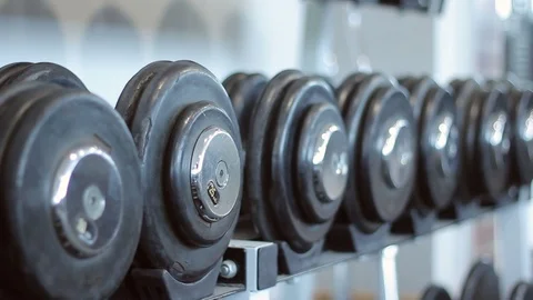 Sorted weights in the gym Video stock 91732192