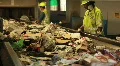 Sorters at Recycling Center HD Footage
