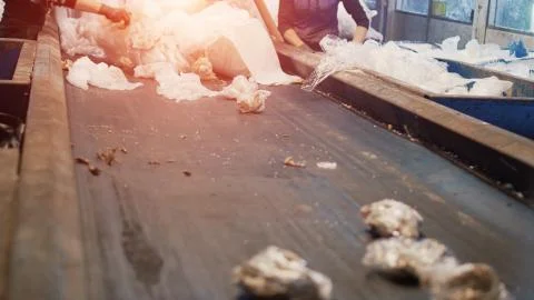 Sorting and recycling of garbage, cellophane, workers sort garbage in a Foto stock