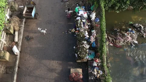 Sorting and segregating trash at a dump site Video stock 141169948