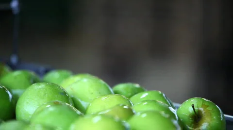 Sorting apples Stock Footage 802786