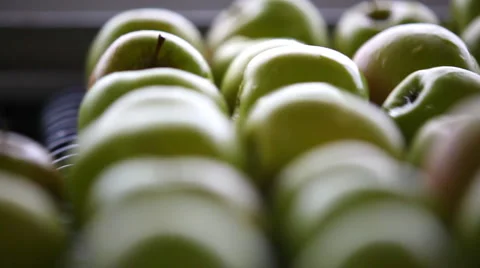 Sorting apples 스톡 동영상 880786