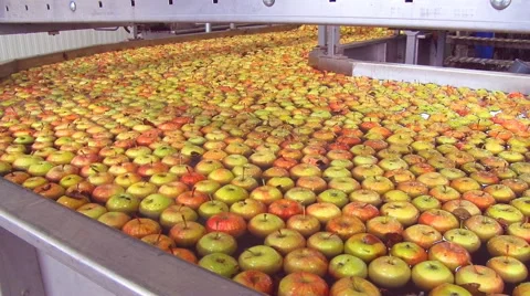 Sorting apples Stock Footage 46749944