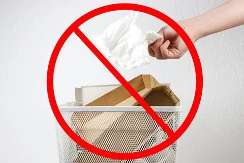 Sorting biowaste separately from cardboard. Foto stock