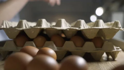 Sorting the brown chicken eggs manufactured at the industrial poultry plant Stock Footage 289242346