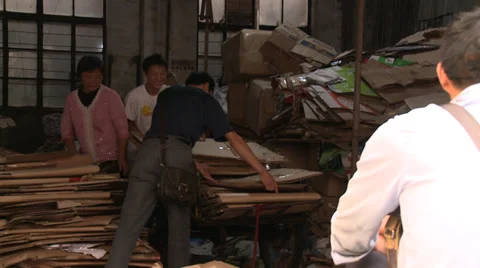 Sorting cardboard for Recycling. Shot 1 of 39 Stock Footage 37694790