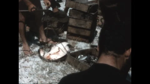 Sorting the Catch 1964 Stock Footage 310560311
