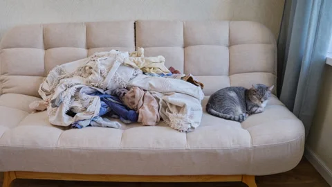 Sorting clothes after washing, time lapse. Pulling the home sofa clothing, stop Stock Footage 341509121