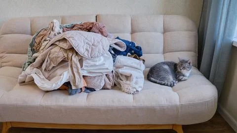 Sorting clothes after washing, time lapse. Pulling the home sofa clothing, st Stock Photos