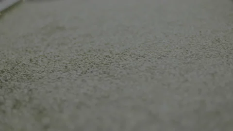 Sorting coffe beans in the machine slow-motion Stock Footage 152447720