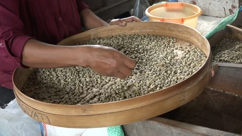 Sorting coffee beans, quality control and selection in Indonesia Stock-Footage 85864380