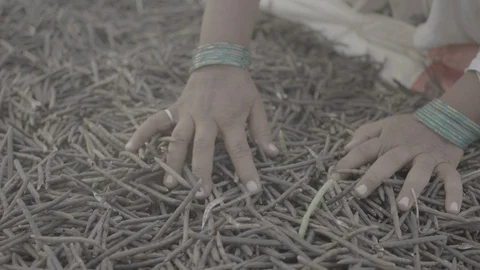 Sorting Daal Crop Video stock 112414038