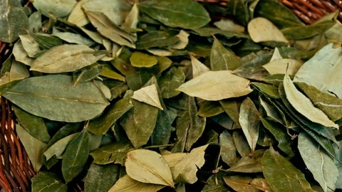 Sorting dried coca leafs in a small woven basket Stock Footage 94686056