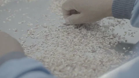 Sorting dried herbs or food ingredients on metal tray Stock-Footage 327070918