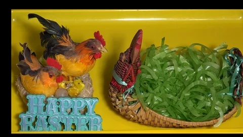 Sorting Easter eggs in a basket Stock Footage 106742646