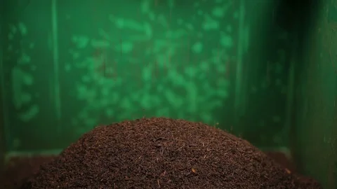 Sorting Fine Tea Powder Stock Footage 124389260