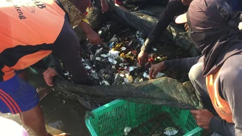 Sorting The FIsh Out Of The Trash Stock Footage 130066071