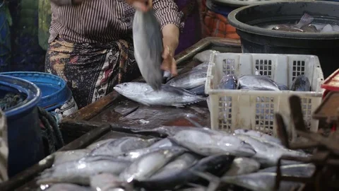 Sorting fish in Pasar Pabean in Surabaya Java Indonesia Vídeos de archivo 81942753