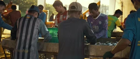 Sorting fish on the pier. Video stock 232360951