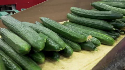 Sorting of fresh harvested Dutch cucumbers in a greenhouse Stock Footage 308931574